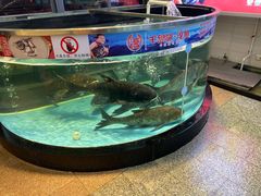 -莞香楼·正宗东莞菜(东升店)