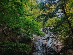-王顺山国家森林公园