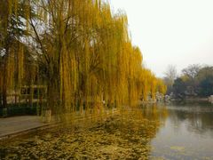 -西安市长乐公园