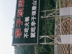 -李子坝梁山鸡(李子坝大鸡哥店)