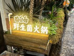 -菌自由丨野生菌火锅特色庭院餐厅(丽江古城店)