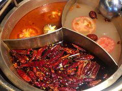 -小龙坎老火锅(北京三里屯店)