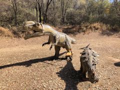 -北京张裕爱斐堡酒庄