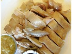 -亚龙湾海底世界