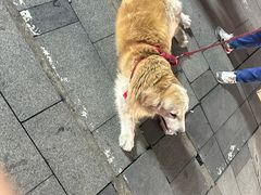 -柳州肥姨妈大骨螺蛳粉(万达中心店)