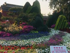 -糖果KTV(雍和宫店)