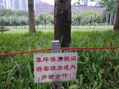 -东风公园