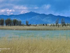 -野鸭湖国家湿地公园