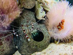 -太平洋海底世界