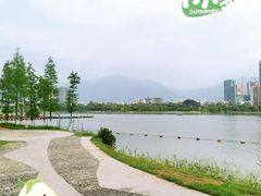 -飞来湖湿地公园