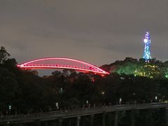 -金鸡山公园