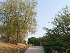 -北京西山国家森林公园