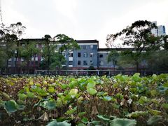 -四川大学(望江校区)