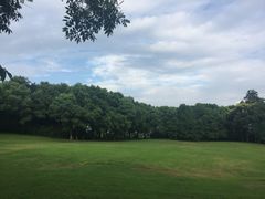 -上海美帆帆船露营基地