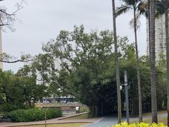 -四海公园(南山区)