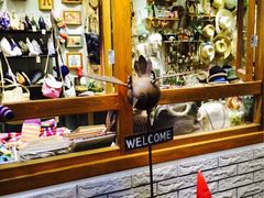 iphone_upload_pic-骑鹅公社(南开大悦城店)