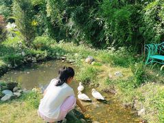 -HERRE·FARM 赫尔露营农场·团建聚会包场