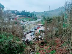 -玫瑰庄园·自助烧烤·烤全羊·团建拓展(龙泉山店)