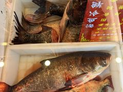 鲟鱼-江湖水乡铁锅炖魚(周庄嘉园店)