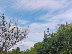 -美兰湖景区