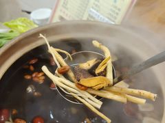 -威邵鸡煲(西华路总店)