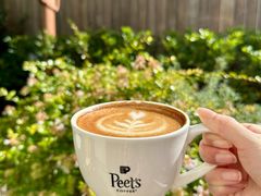 -Peet's Coffee皮爷咖啡(大学路店)
