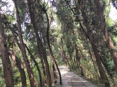 -金堂县云顶石城风景区