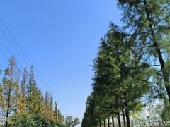 -广富林郊野公园