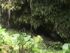 -海口火山口国家地质公园