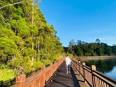 -海南热带雨林国家公园吊罗山景区