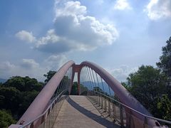 -金鸡山公园