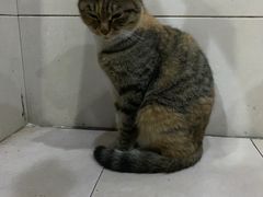 -松木场面馆(总店)