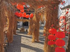 -同里国家湿地公园