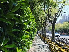 -上海市中医文献馆