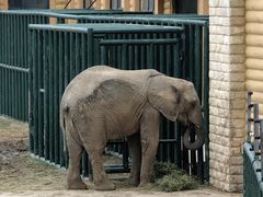 -哈尔滨北方森林动物园