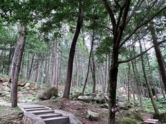 -洛阳白云山景区