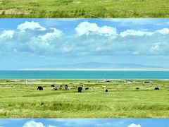 -青海湖国家重点风景名胜区