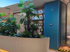 -悦海·家宴·冰花皮皮虾大锅贴(宝龙店)