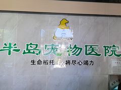 -半岛宠物医院24小时(科华中路店)