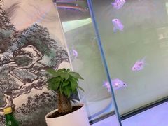 -圳兴面王·拌川·特色炒面(南山保利剧院店)