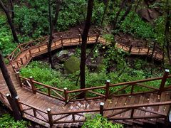 -大岭沟猕猴桃谷风景区