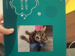 -美联众合动物医院·24h转诊中心