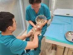 -美迦爱-牙专科·兔科·骨科诊疗中心(北苑店)