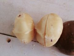 -黑孩油栗皇(南阳路店)