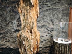 -大同煤炭博物馆