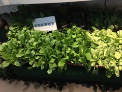 -王家渡火锅店(棕榈泉店)