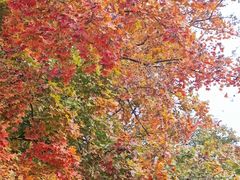 -辽宁大学(崇山校区)