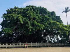 -船政文化景区-罗星塔公园