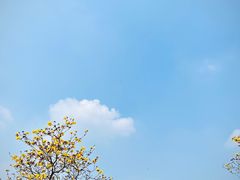 -松山湖风景区松湖烟雨