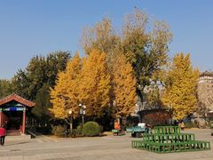 -莲花池公园